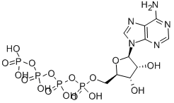 CAS 登录号：1062-98-2， [(2R,3S,4R,5R)-5-(6-氨基嘌呤-9-基)-3,4-二羟基四氢呋喃-2-基]甲基[羟基-(羟基-膦酰氧基磷酰)氧基磷酰]氢磷酸酯
