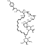 CAS#: 11096-49-4， 33-[(3-Amino-3,6-Dideoxy-beta-L-Mannopyranosyl)Oxy]-17-[7-(4-Aminophenyl)-5-Hydroxy-7-Oxo-2-Heptanyl]-1,3,5,7,9,13,37-Heptahydroxy-18-Methyl-11,15-Dioxo-16,39-Dioxabicyclo[33.3.1]Nonatriaconta-19,21,2 3,25,27,29,31-Heptaene-36-Carboxylic Acid