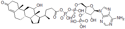 CAS 登录号：115288-28-3， 24-(12-羟基-3-氧代-4-胆烯酰基-5'-磷酰)-3'-磷酰腺苷