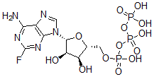 CAS 登录号：1492-62-2， 2-氟-三磷酸腺苷