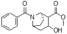 CAS 登录号：17366-44-8， N-苯甲酰基芽子碱