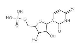 CAS#: 28086-43-3， Polyuridylic Acid (5') Potassium Salt