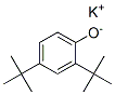 CAS#: 37408-22-3， Potassium 2,4-Ditert-Butylphenolate