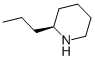 CAS#: 458-88-8， Coniine