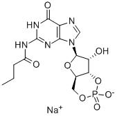 CAS 登录号：51115-99-2， N2-单丁酰基鸟苷 3',5'-环单磷酸酯钠盐