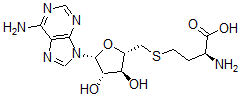 CAS#: 55267-52-2， S-(5-(9-Arabinofuranosyladenyl))-L-homocysteine