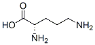 CAS#: 7006-33-9， Ornithine