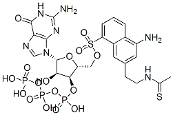 CAS#: 76709-18-7， 5-[2-[[2-[[[[(2R,3S,4R,5R)-5-(2-Amino-6-Oxo-3H-Purin-9-Yl)-3,4-Dihydroxyoxolan-2-Yl]Methoxy-Hydroxyphosphoryl]Oxy-Hydroxyphosphoryl]Oxy-Hydroxyphosphoryl]Sulfanylacetyl]Amino]Ethylamino]Naphthalene-1-Sulfonic Acid