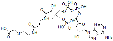 CAS#: 79955-48-9， Carboxymethyl-Coenzyme A