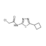 结构式 CAS# 878668-04-3, 2-氯-N-(5-环丁基-1,3,4-噻二唑-2-基)乙酰胺