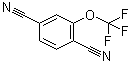 2-(Trifluoromethoxy)-1,4-benzenedicarbonitrile molecular structure (CAS 175278-16-7)