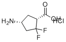(1R,4R)-4-氨基-2,2-二氟环戊烷-1-羧酸盐酸盐分子结构 (CAS 2496497-75-5)