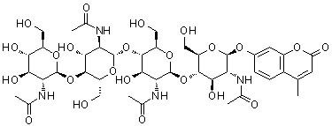 7-[[O-2-(Acetylamino)-2-deoxy-beta-D-glucopyranosyl-(1→4)-O-2-(acetylamino)-2-deoxy-beta-D-glucopyranosyl-(1→4)-O-2-(acetylamino)-2-deoxy-beta-D-glucopyranosyl-(1→4)-2-(acetylamino)-2-deoxy-beta-D-glucopyranosyl]oxy]-4-methyl-2H-1-benzopyran-2-one molecular structure (CAS 53643-14-4)