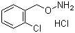 结构式 CAS# 5555-48-6, 邻氯苄氧胺盐酸盐