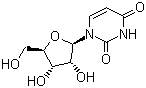 尿苷分子结构 (CAS 58-96-8)