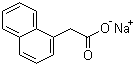Sodium naphthalene-1-acetate molecular structure (CAS 61-31-4)