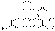结构式 CAS# 62669-70-9, 罗丹明 123