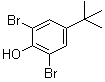 2,6-Dibromo-4-tert-butylphenol molecular structure (CAS 98-22-6)