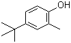 4-tert-Butyl-2-methylphenol molecular structure (CAS 98-27-1)