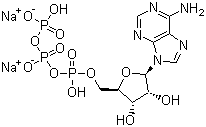 Adenosine 5'-triphosphate disodium salt  molecular structure (CAS 987-65-5)